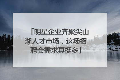 明星企业齐聚尖山湖人才市场，这场招聘会需求真挺多
