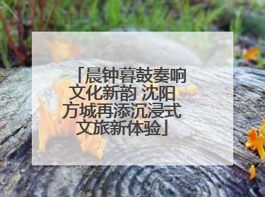 晨钟暮鼓奏响文化新韵 沈阳方城再添沉浸式文旅新体验