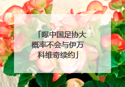 曝中国足协大概率不会与伊万科维奇续约