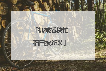 机械插秧忙 稻田披新装