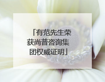 有范先生荣获尚普咨询集团权威证明