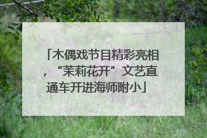 木偶戏节目精彩亮相，“茉莉花开”文艺直通车开进海师附小