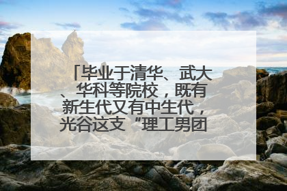 毕业于清华、武大、华科等院校，既有新生代又有中生代，光谷这支“理工男团”为何“出道”？
