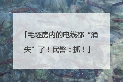 毛坯房内的电线都“消失”了！民警：抓！