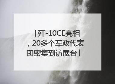 歼-10CE亮相，20多个军政代表团密集到访展台