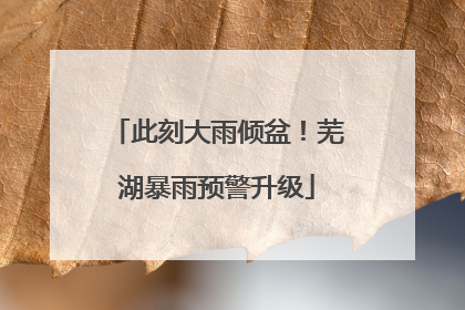 此刻大雨倾盆！芜湖暴雨预警升级