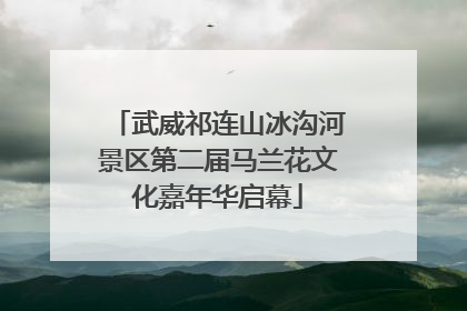武威祁连山冰沟河景区第二届马兰花文化嘉年华启幕