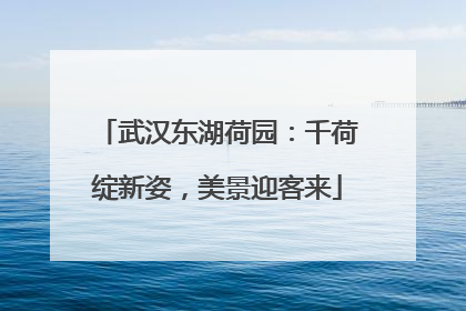 武汉东湖荷园：千荷绽新姿，美景迎客来