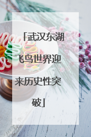 武汉东湖飞鸟世界迎来历史性突破