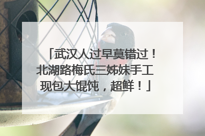 武汉人过早莫错过！北湖路梅氏三姊妹手工现包大馄饨，超鲜！