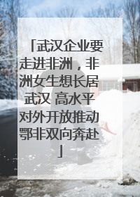 武汉企业要走进非洲，非洲女生想长居武汉 高水平对外开放推动鄂非双向奔赴