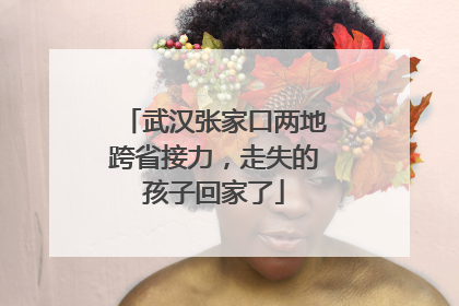 武汉张家口两地跨省接力，走失的孩子回家了