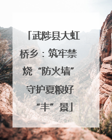 武陟县大虹桥乡：筑牢禁烧“防火墙” 守护夏粮好“丰”景