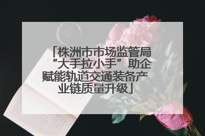 株洲市市场监管局“大手拉小手”助企赋能轨道交通装备产业链质量升级
