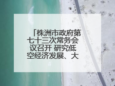 株洲市政府第七十三次常务会议召开 研究低空经济发展、大抓落实等工作