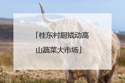 桂东村厨撬动高山蔬菜大市场