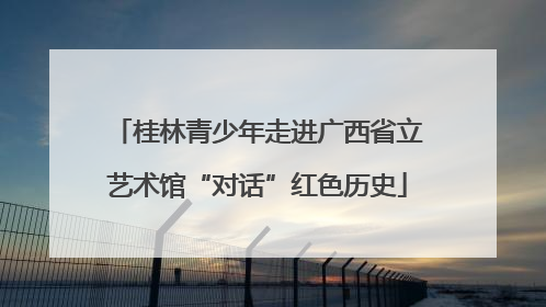 桂林青少年走进广西省立艺术馆“对话”红色历史