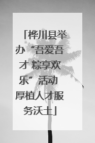 桦川县举办“吾爱吾才 粽享欢乐”活动 厚植人才服务沃土