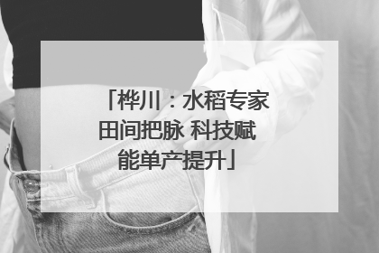 桦川：水稻专家田间把脉 科技赋能单产提升