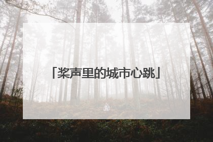 桨声里的城市心跳