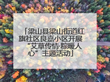 梁山县梁山街道红旗社区良嘉小区开展“艾草传情·粽暖人心”主题活动