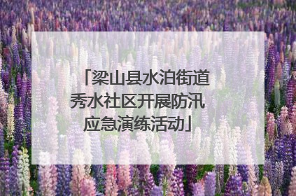 梁山县水泊街道秀水社区开展防汛应急演练活动