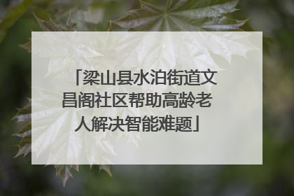 梁山县水泊街道文昌阁社区帮助高龄老人解决智能难题