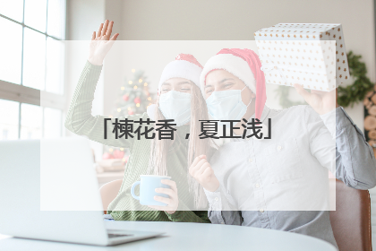 楝花香，夏正浅
