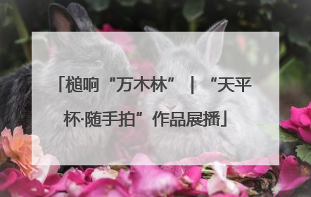 槌响“万木林”｜“天平杯·随手拍”作品展播