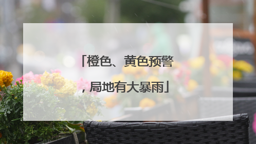橙色、黄色预警，局地有大暴雨