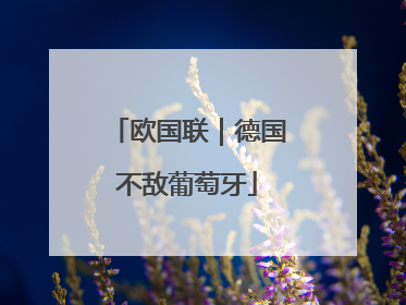 欧国联｜德国不敌葡萄牙