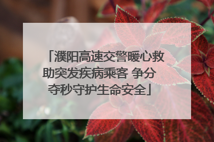 濮阳高速交警暖心救助突发疾病乘客 争分夺秒守护生命安全