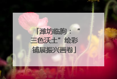 潍坊临朐：“三色沃土”绘彩铺展振兴画卷
