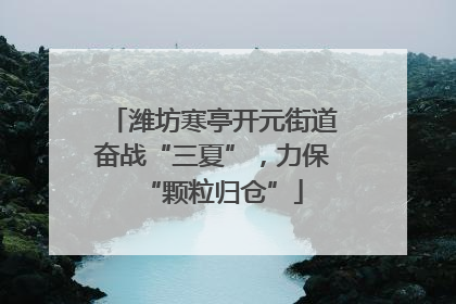 潍坊寒亭开元街道奋战“三夏”，力保“颗粒归仓”