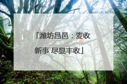 潍坊昌邑：麦收新事 尽显丰收