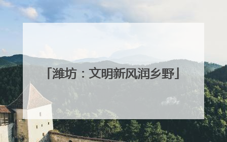 潍坊：文明新风润乡野