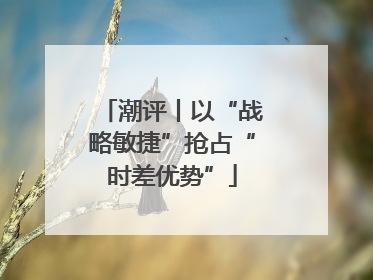 潮评丨以“战略敏捷”抢占“时差优势”