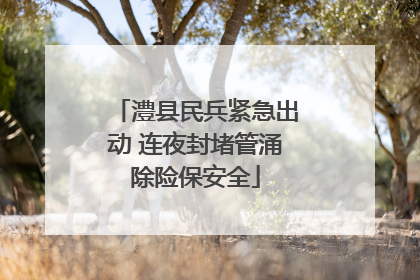 澧县民兵紧急出动 连夜封堵管涌除险保安全