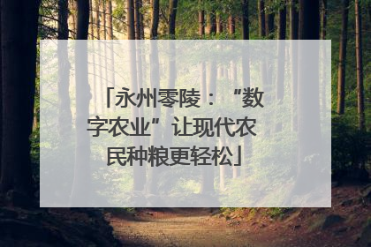 永州零陵：“数字农业”让现代农民种粮更轻松