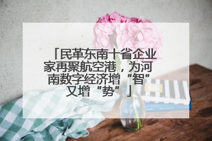 民革东南十省企业家再聚航空港，为河南数字经济增“智”又增“势”