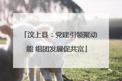 汶上县：党建引领聚动能 组团发展促共富