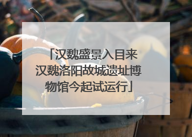 汉魏盛景入目来 汉魏洛阳故城遗址博物馆今起试运行