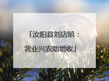 汝阳县刘店镇：薯业兴农助增收