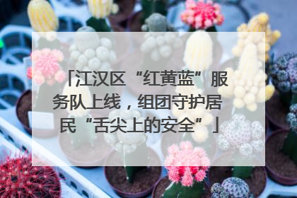 江汉区“红黄蓝”服务队上线，组团守护居民“舌尖上的安全”