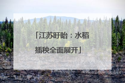江苏盱眙：水稻插秧全面展开