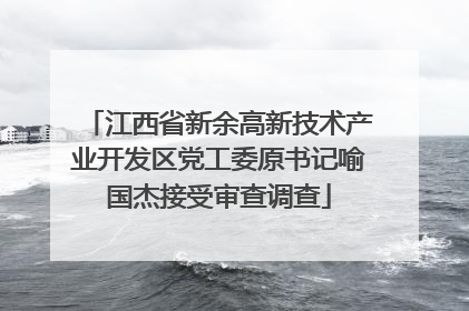 江西省新余高新技术产业开发区党工委原书记喻国杰接受审查调查