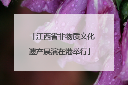 江西省非物质文化遗产展演在港举行