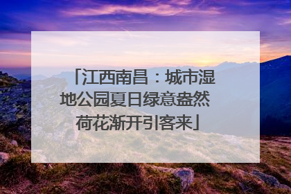 江西南昌：城市湿地公园夏日绿意盎然 荷花渐开引客来