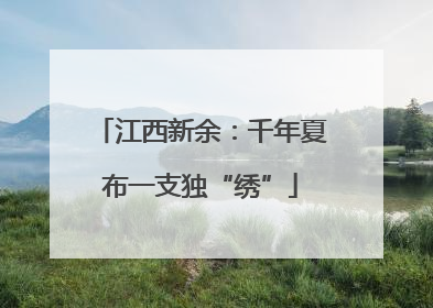 江西新余：千年夏布一支独“绣”