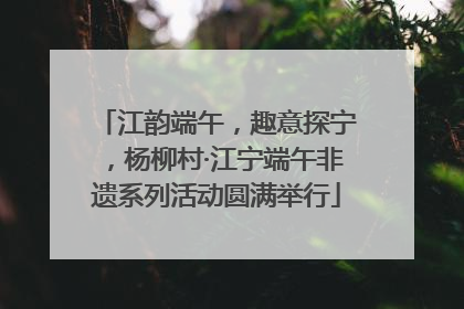 江韵端午，趣意探宁，杨柳村·江宁端午非遗系列活动圆满举行